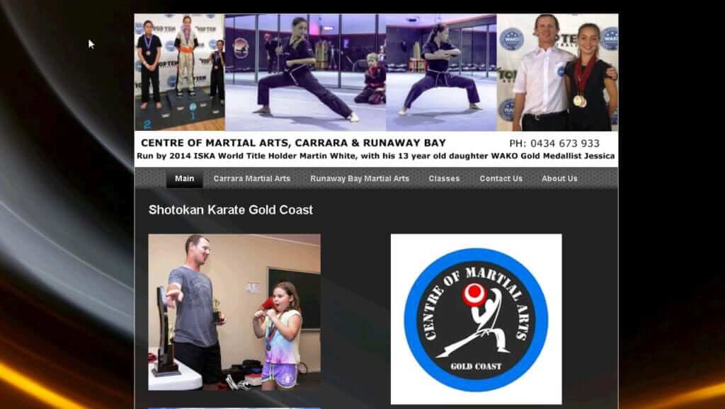 martial arts sample website
